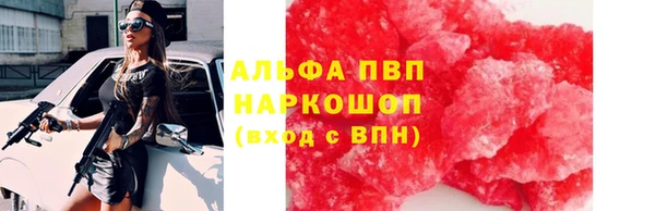 ECSTASY Алзамай