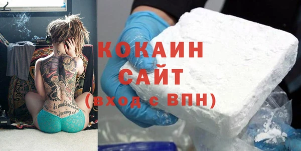 ECSTASY Алзамай