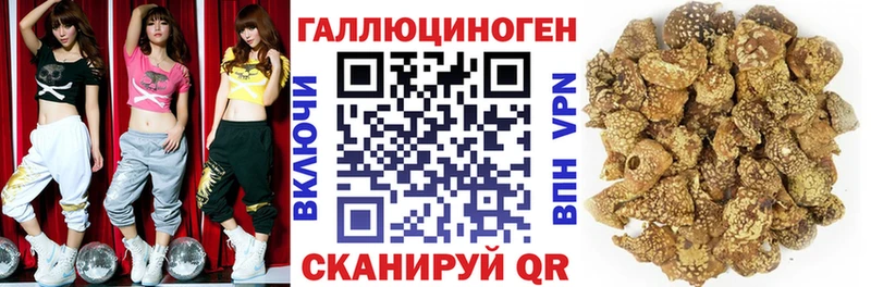 Галлюциногенные грибы ЛСД  Могоча 